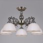 Потолочная люстра  74406-0.3-05
