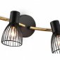 Настенно-потолочный спот Ambrella light TRADITIONAL TR8662