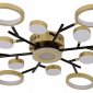 Потолочная люстра F-Promo Hybrid 4686-13C