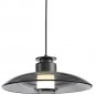 Подвесной светильник DeLight Collection 8665 8665P/L black/smoky