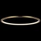 Подвесной светодиодный светильник Loft IT Ring 10014M