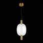 Подвесной светодиодный светильник ST Luce Allenore SL1582.313.01