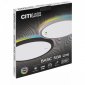 Настенно-потолочный светильник Citilux Basic Line CL738241EL