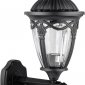 Настенный фонарь уличный Oasis Light FES 86301 02 Bl