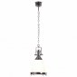 Подвесной светильник Lussole Loft LSP-9613