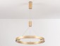 Подвесной светодиодный светильник Ambrella light Comfort Line FL5846