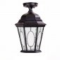 Потолочный светильник уличный Oasis Light ASTORIA 2M 91405MA Bl овал