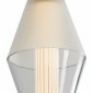 Подвесной светильник Plum FR6137PL-L6BT