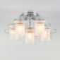 Потолочная люстра Eurosvet Darcy 30160/5 хром