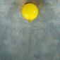 Потолочный светильник Loft IT 5055C/L yellow