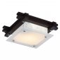 Потолочный светильник Arte Lamp Archimede A6462PL-1CK