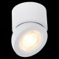 Светодиодный спот ST Luce ST654.532.10