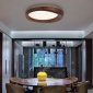 Потолочный светильник ImperiumLoft RUNIS01