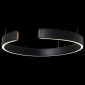 Подвесной светодиодный светильник Loft IT Ring 10025/400 Black