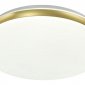 Настенно-потолочный светодиодный светильник Sonex Ringo 7626/CL