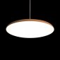 Подвесной светильник Loft IT Plato 10119 Orange