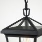 Уличный светильник подвесной Alford Place QN-ALFORD-PLACE8-S-MB