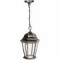 Уличный светильник подвесной Oasis Light 91405L Gb