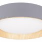 Потолочный светильник Loft IT Coin 10202 Grey