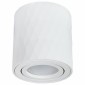 Потолочный светильник Arte Lamp Fang A5559PL-1WH