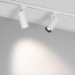 Трековый светодиодный светильник Arlight LGD-Gelios-Tune-4TR-R80-20W Day4000-Mix 039157