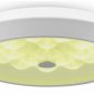 Накладной светильник Freya LED FR10012CL-L24W