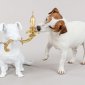 Интерьерная настольная лампа Seletti Rio lamp 14794