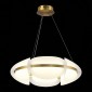 Подвесной светодиодный светильник ST Luce Etoile SL1304.203.45