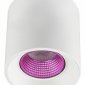 Точечный светильник Denkirs DK3090-WH+PI