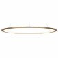 Подвесной светодиодный светильник Loft IT Ring 10014XL