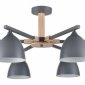 Потолочная люстра Lumion Colange 8096/6C