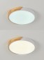Потолочный светильник Natali Kovaltseva Scandinavian LED LAMPS 81181