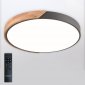 Потолочный светильник Scandinavian LED LAMPS 81183