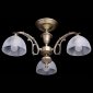 Потолочная люстра MW-Light Ариадна 450011503