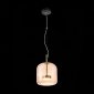 Подвесной светодиодный светильник ST Luce Palochino SL1053.273.01
