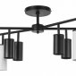 Потолочная люстра Lightstar Rullo LR728374864