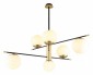 Потолочная люстра Aployt Kristina APL.313.07.06