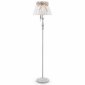 Торшер Maytoni Bird ARM013-22-W