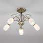 Потолочная люстра Eurosvet Ginevra 30280/5