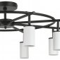 Потолочная люстра Lightstar Rullo LR718368
