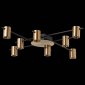 Потолочная люстра ST Luce Veroli SL1207.402.08