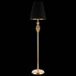 Торшер ST Luce Rionfo SL1137.205.01