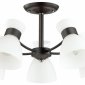 Потолочная люстра Lumion Wilma 4534/5C