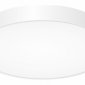Потолочный светильник Citilux Купер CL72495G0