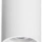 Точечный светильник Lightstar Rullo 213436