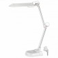 Настольная лампа ЭРА NL-202-G23-11W-W