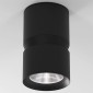 Потолочный светодиодный светильник Elektrostandard Kayo 25049/LED 12W 4000К черный a064729