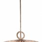 Подвесная люстра Maytoni Venera H260-03-N