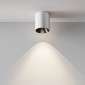 Точечный светильник Maytoni Alfa LED C064CL-12W4K-RD-WB