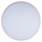 Потолочный светильник Loft IT Axel 10002/24 Pink